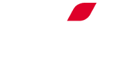 gruppocremonini logo